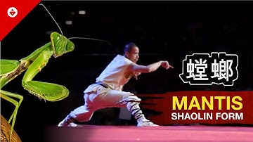 Shaolin MANTIS FIST Form by WARRIOR Monk | BEST KUNG FU