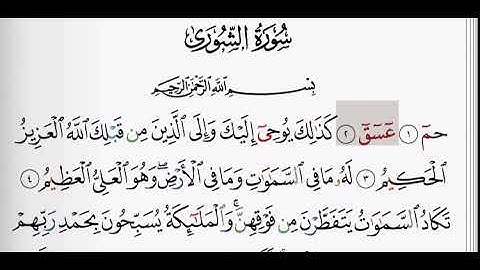 (42) سورة الشورى | شيخ الزين محمد احمد