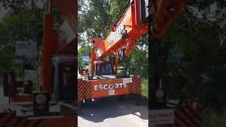 Shorts Crain Escorts