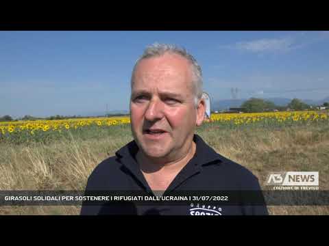 GIRASOLI SOLIDALI PER SOSTENERE I RIFUGIATI DALL’UCRAINA | 31/07/2022