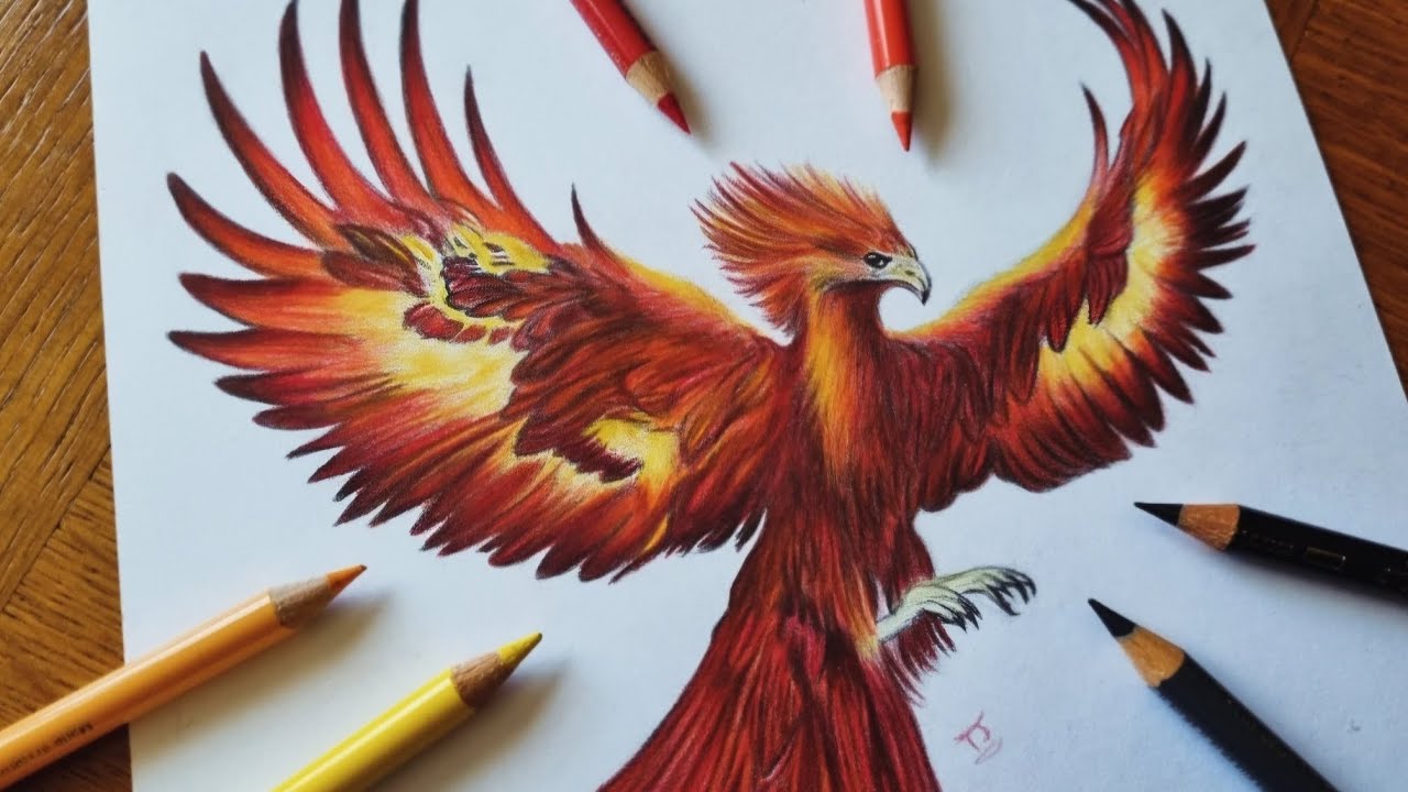 Realiste Dessin Phoenix