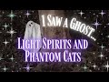 I Saw A Ghost - Phantom Cats, Digital Ghosts and Light Beings