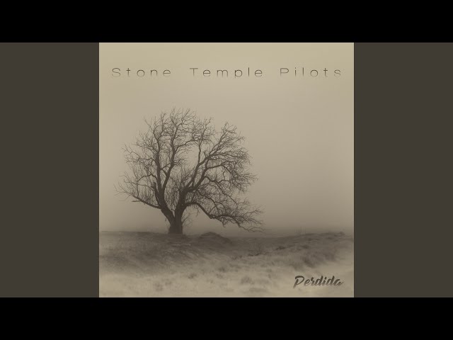 Stone Temple Pilots - You Found Yourself While Losing Your Heart