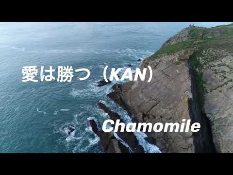 愛は勝つ☆☆KAN☆☆アルトサックスとギター