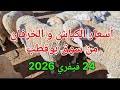 أسعار الكباش و الخرفان بسوق بوقطب ليوم الثلاثاء 24 فيفري 2026