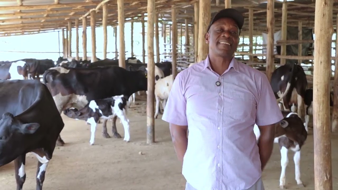 ORGANIC DAIRY FARMING IS THE BEST