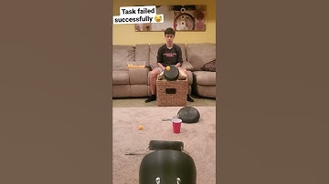 Task failed successfully...