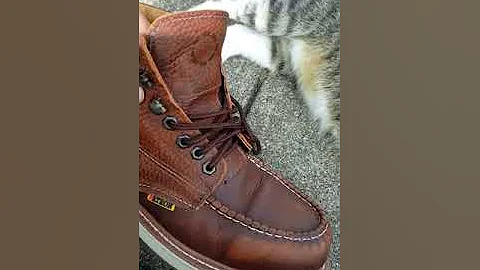 response to Rose Anvil, Patron boots