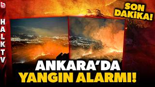 Son Daki̇ka Ankara’da Alevler Her Yeri Sardı Ağaçlık Alan Bir Anda Alevlere Teslim Oldu