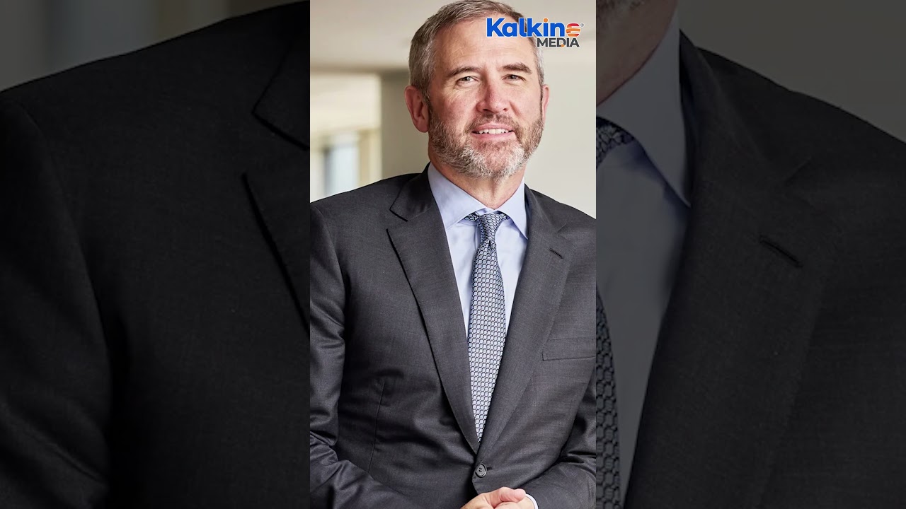 Xrp ceo 60 minutes (65) 사진