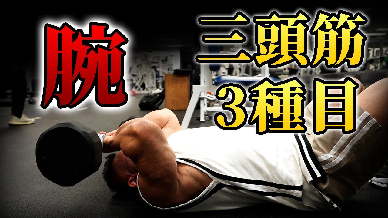 【腕トレ解説】世界チャンプが教える三頭筋3種目