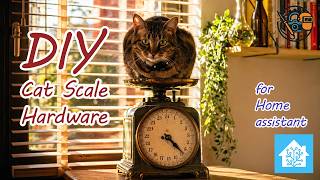 I Built a DIY Smart Scale for My Cat