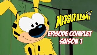 Chiquitoland et l&#39;Ami Mystérieux du Marsupilami | EPISODE COMPLET 11-12 | Marsupilami en Français