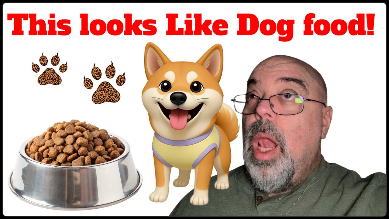 DIY Dog Treats So Easy Even I Can Make Them