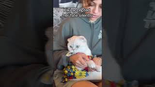 Kiki Accepted Her Fate Silently