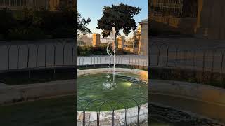 #trending#short#video#SINGLE FOUNT