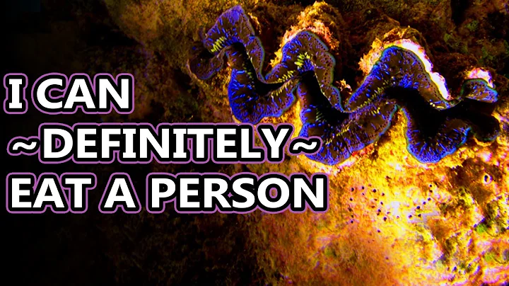 Giant Clam facts: an algae filled blue kiss | Animal Fact Files