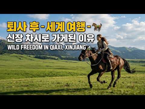 신장 차시 대초원을 달리는 자유로운 순간 🏔️ | Galloping in Qiaxi, Xinjiang