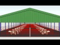 Shed Layout created with Google Sketchup