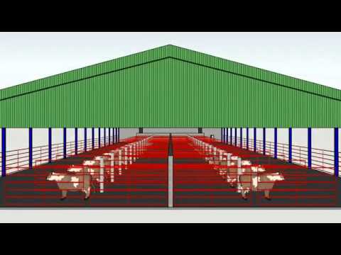 Shed Layout created with Google Sketchup - YouTube