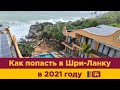 Шри-Ланка 2021.Часть 1. Гайд как попасть в Шри-Ланку