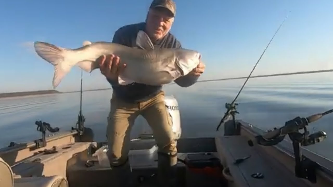 Catfishing October 18, 2024