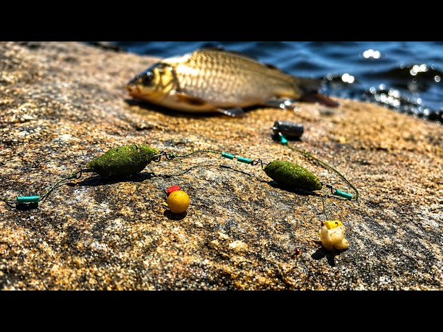 2 fish on one hook Ice Fishing Two HANGING "SPLITTER" Designed For Jigging - Two Hooks, Line, Better Odds Looking for one hook that