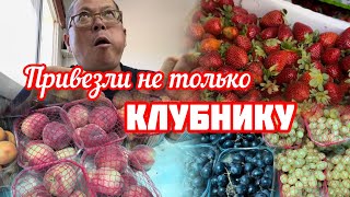 144.Израиль.Привезли не только Клубнику.15 мая 2024 год