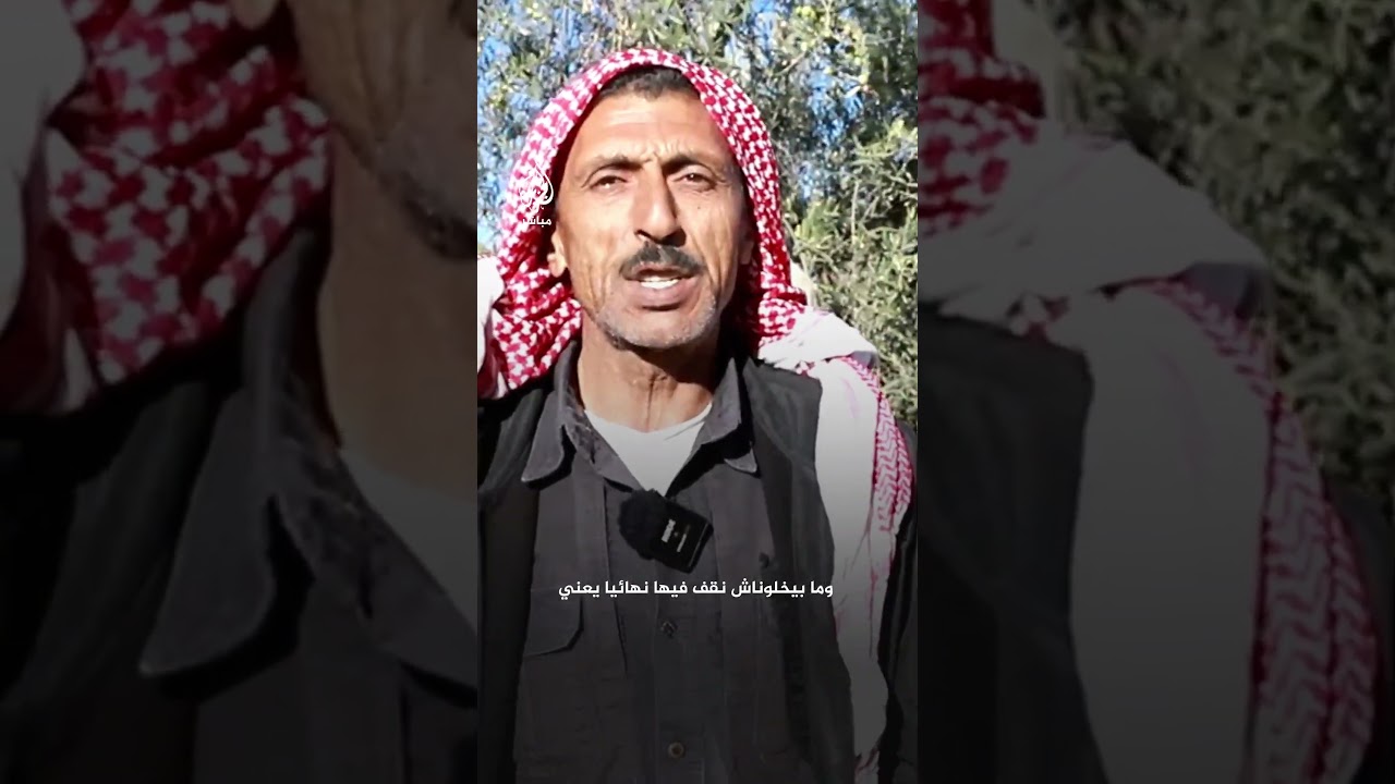 مزارع فلسطيني يتحدى اعتداءات المستوطنين ويجني الزيتون في أرضه بالخليل