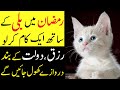 Dolat rizq barse ga  ramzan main billi  ke sath ek kaam karlo