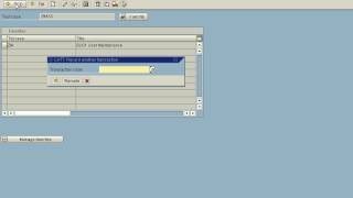 SAP Basis SCAT