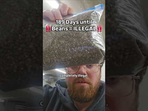 <strong>Too</strong> many seeds..