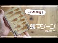 【元祖アリ飼育セット】Antroom蟻マシーン2号ミニを2年使用後レビュー！【これが本物！】