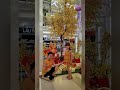 những hình ảnh kỉ niệm vào ngày 19/3/2026 và 19/3/2025