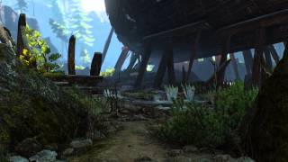 The Witcher 3 TEST Shadowplay 1080p 60fps