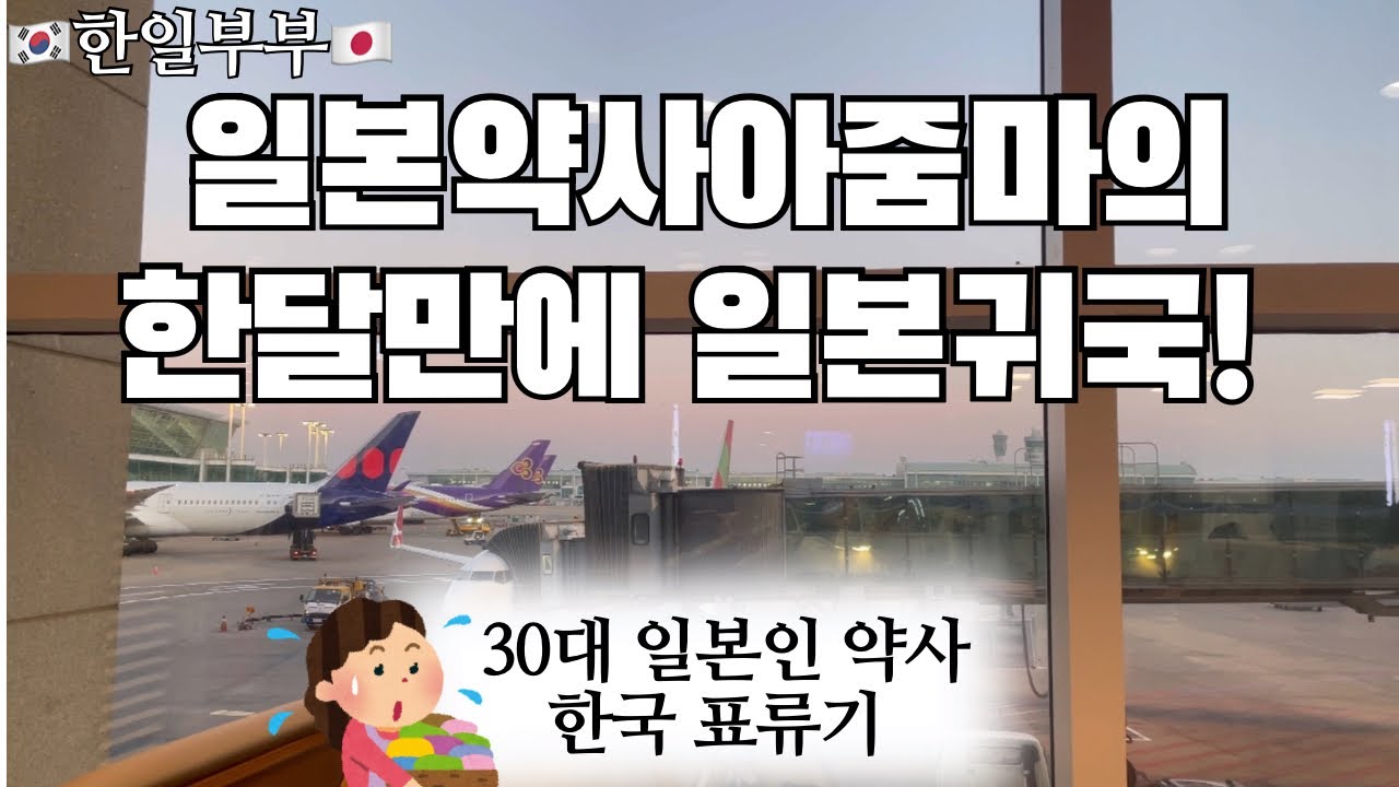 【한일부부】30대 일본 약사 아줌마 한국표류기🌿제5장 한달만에 일본귀국 노스탤지어느끼기(??한국인남편만)