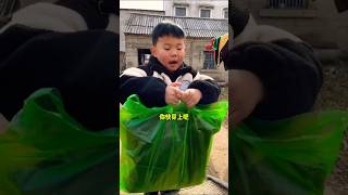 Chintu gave dadaji blanket 😂 #Catsoftiktok #CatLovers #cat #cute #FunnyCats #catcartoon #fyp