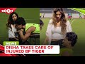 Tiger Shroff gets injured during a football match as ladylove Disha Patani takes his care