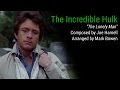 The Incredible Hulk - The Lonely Man - Solo Piano