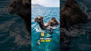 Camel lives in Ocean?! #AnimalFacts #DidYouKnow #NatureFacts