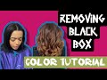 Removing Black Box Color Tutorial Correction How to Use Schwarzkopf Color Remover and Malibu CPR