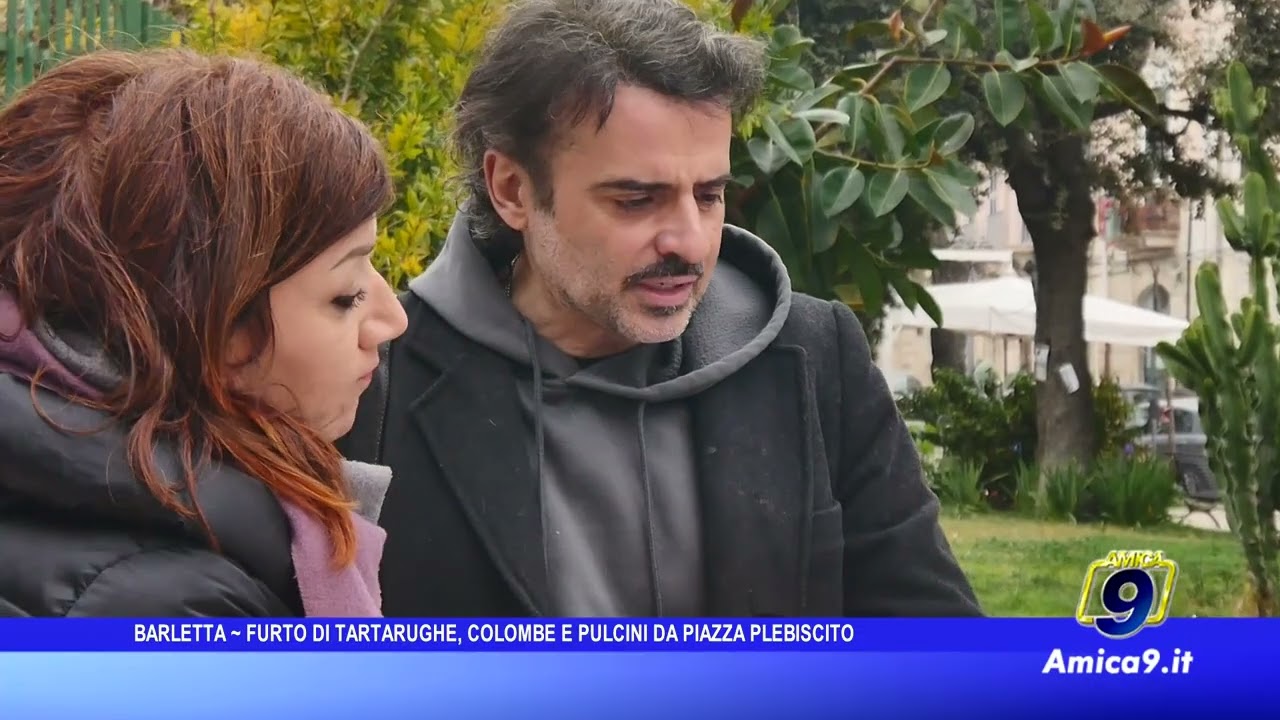 Barletta - Furto di tartarughe, colombe e pulcini da piazza Plebiscito