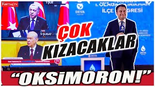 Oksimoron Babacandan Bahçeli Ve Erdoğanı Çok Kızdıracak Benzetme