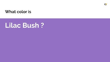 Lilac Bush color #9470c4 hex color - Violet color - Warm color 9470c4