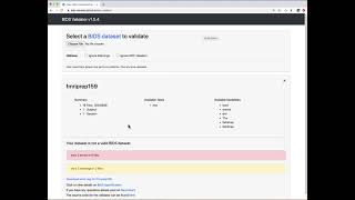 BIDSValidator