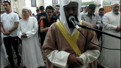 سورة النازعات لفضيلة القارئ الشيخ شعيب محمد الأزهري sheikh shoaib mohammad al azhari