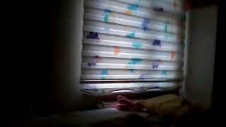 Oda Turum 1 Mesepe Hazal