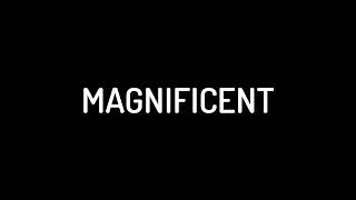 Definition of Magnificent