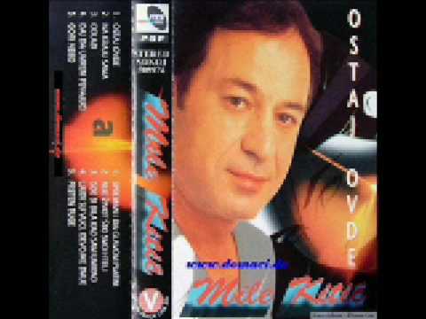 MILE KITIC- PTICICA