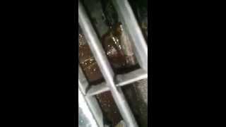 Corrado VR6 Coolant Leak